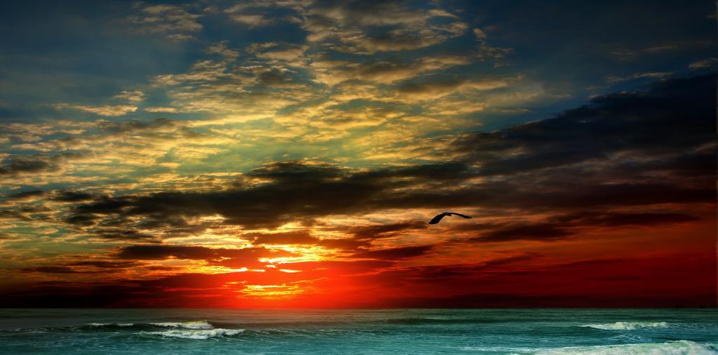 Home D'Or Cala D´Or エクステリア 写真