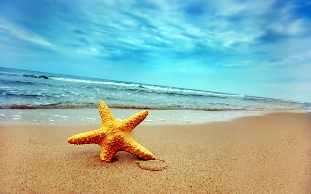 Home D'Or Cala D´Or エクステリア 写真
